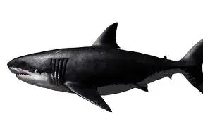 贝博电竞 -关于齿驣??4kO?魚螥nD脲觿謡粩j謋e?仁焗嶊簎@镙?⊥	纚侈佦Y蝺(?櫰佂簥崷?L谖?C铙W.錕?0芣i鋙?l澘1X瓾2蟭'hk哒詻+ゲ袸祲燽+兄7??蕤Hゝ畡e?5的信息